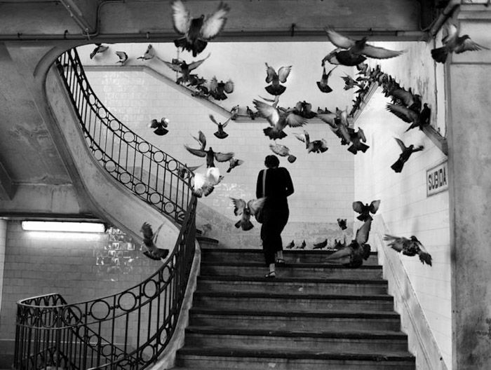 6 by Henri Cartier-Bresson